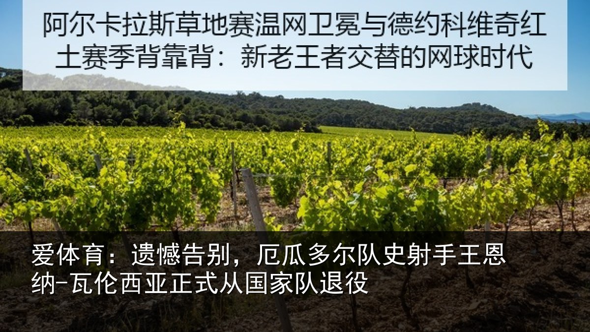 爱体育:遗憾告别,厄瓜多尔队史射手王恩纳-瓦伦西亚正式从国家队退役
